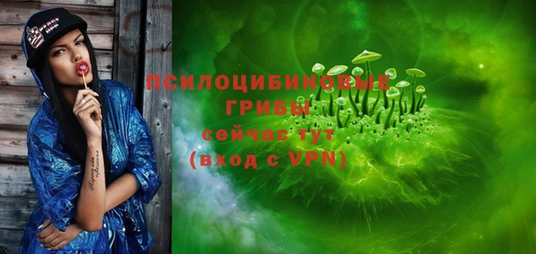 герыч Арсеньев
