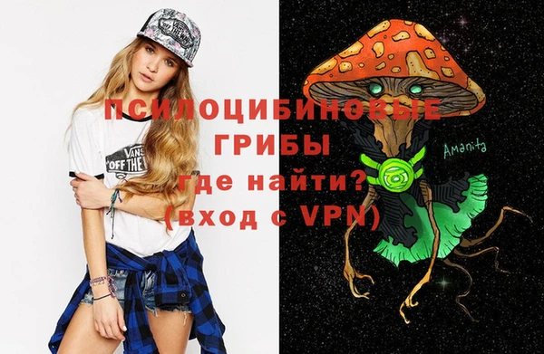 Альфа ПВП Армянск