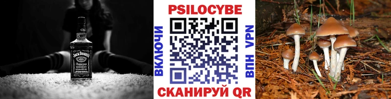 shop официальный сайт  Опочка  Галлюциногенные грибы Magic Shrooms  продажа наркотиков 